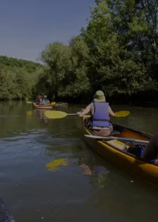 Paysage de rivière calme entourée de verdure en milieu naturel