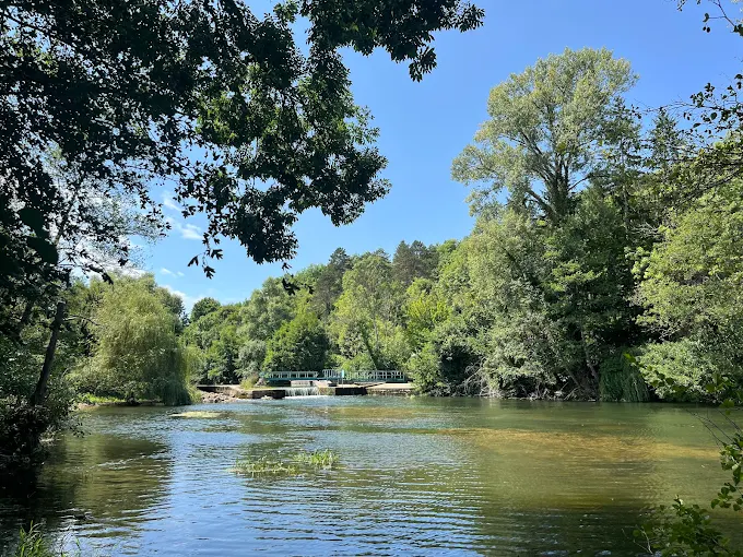 L’Yonne au bord du camping Le Pré du Roi