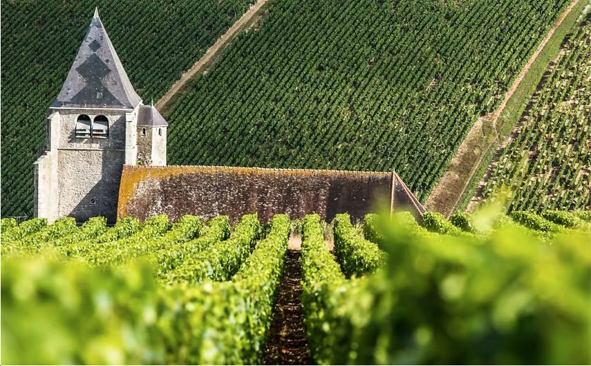 Vignobles Chablisiens