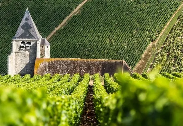 Paysage des vignobles de Chablis en Bourgogne